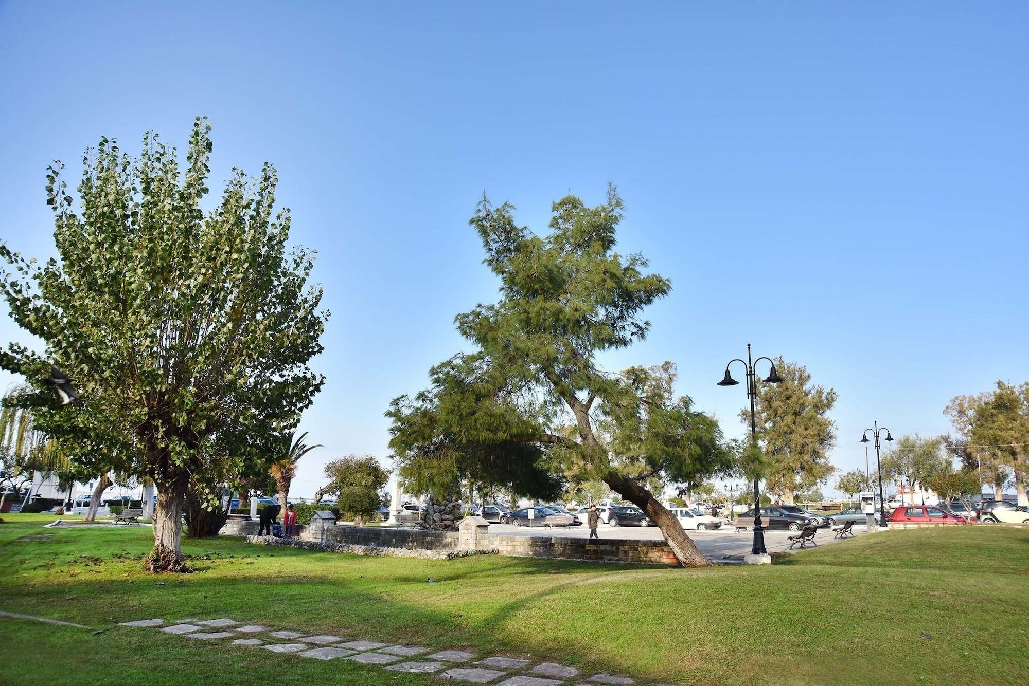 Ionion Star Hotel Lefkada City Luaran gambar