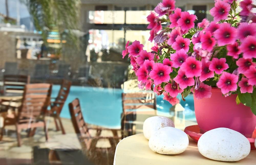 Ionion Star Hotel Lefkada City Luaran gambar